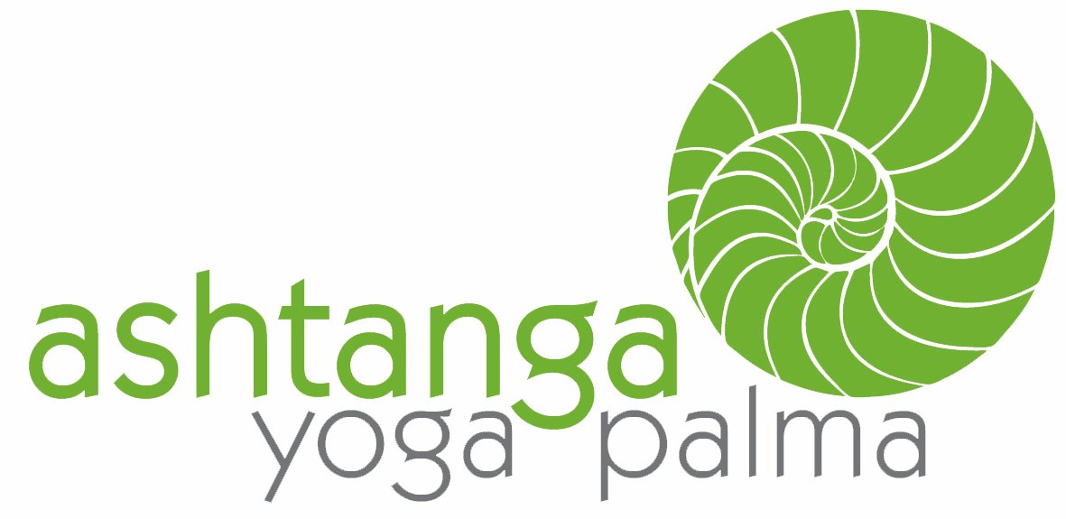 ashtanga-yoga-palma-the-2