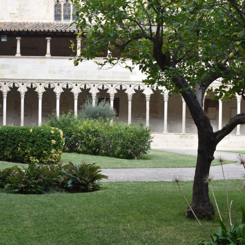 Claustro Sant Francesc 2 